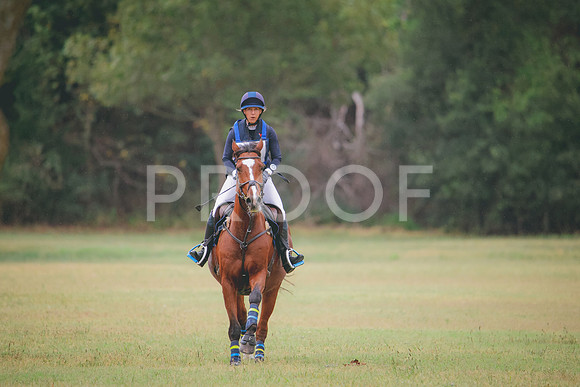 RWP_3679
