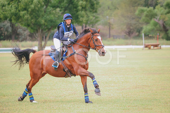 RWP_3691