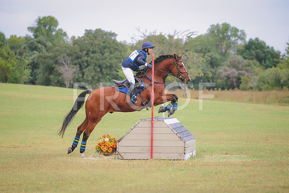 RWP_3697