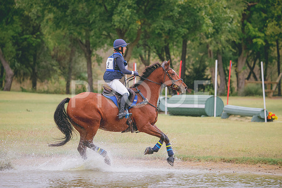 RWP_3706
