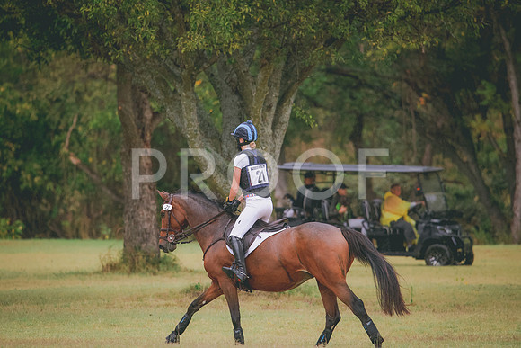 RWP_4516