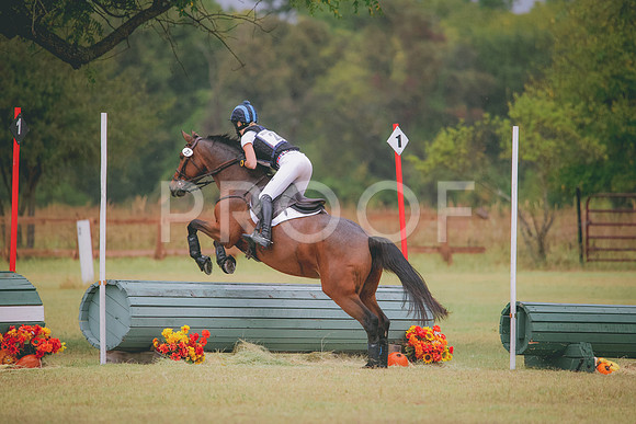 RWP_4517