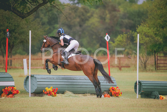 RWP_4518