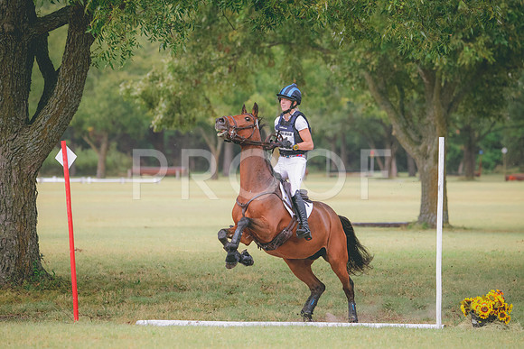 RWP_4527