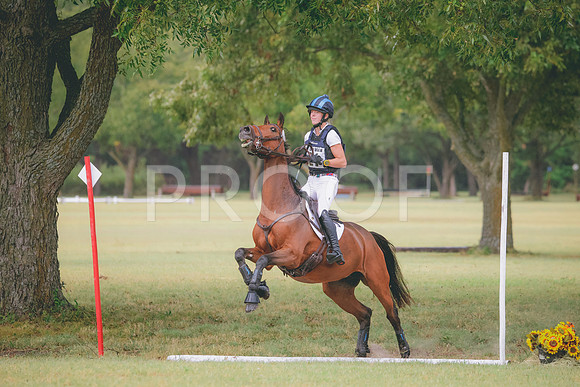 RWP_4528