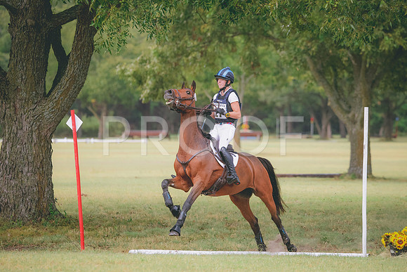 RWP_4529