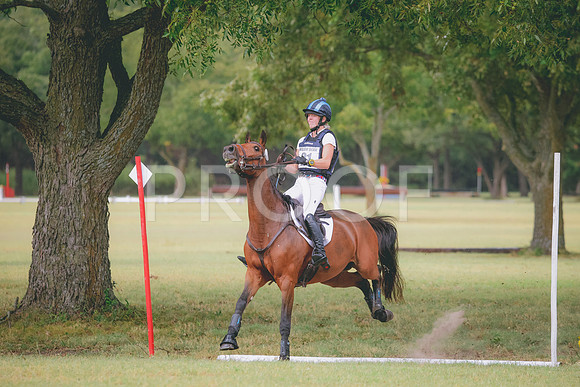 RWP_4531