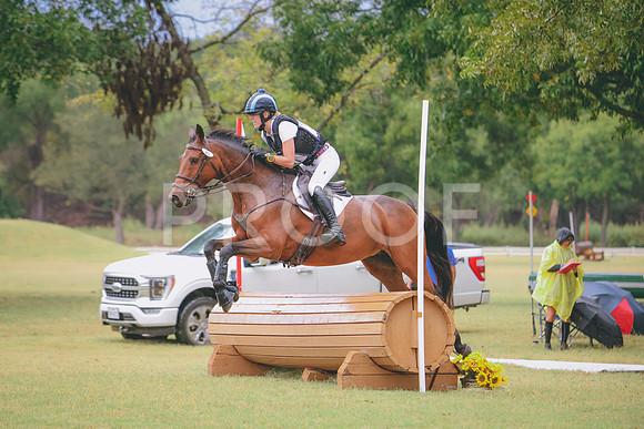 RWP_4537