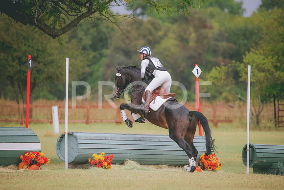 RWP_4541