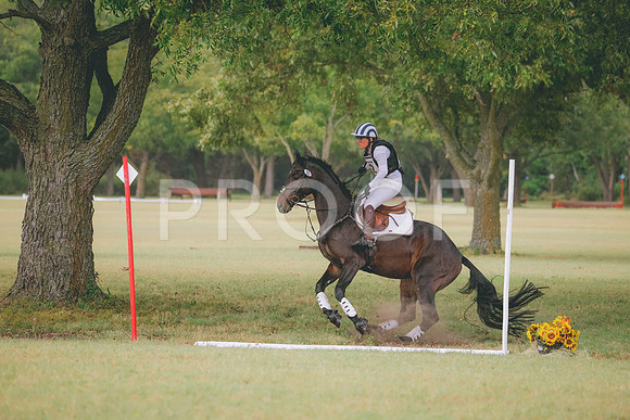 RWP_4555
