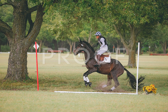 RWP_4556