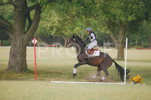 RWP_4557