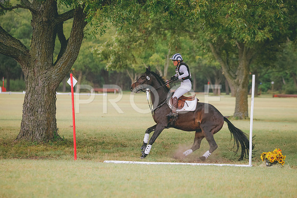 RWP_4558
