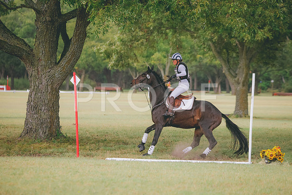 RWP_4559