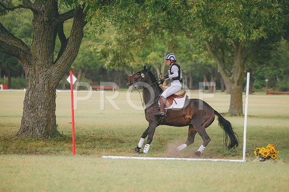 RWP_4560