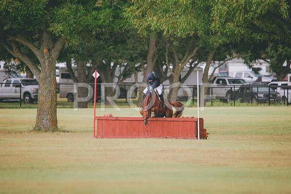 RWP_4561