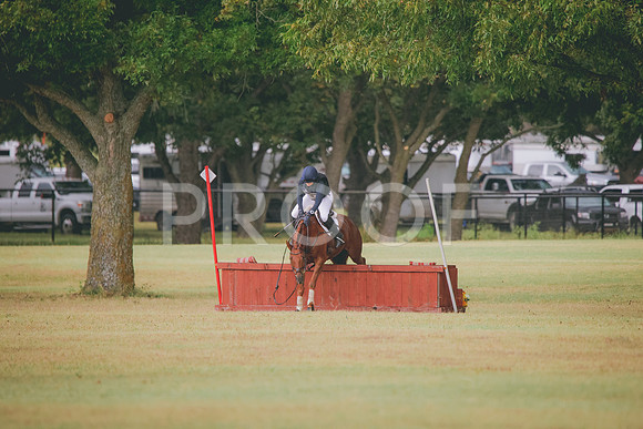RWP_4569