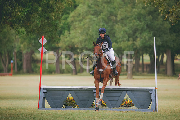 RWP_4587