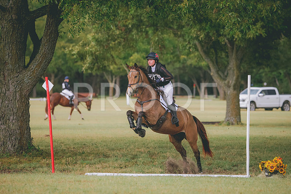 RWP_4617
