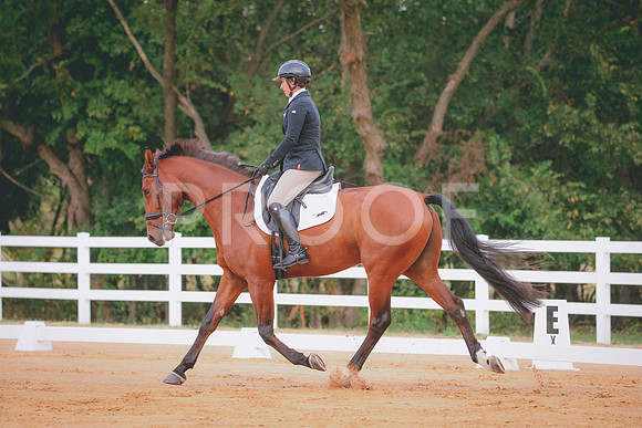 RWP_1806