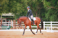 RWP_1816