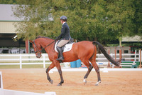 RWP_1819