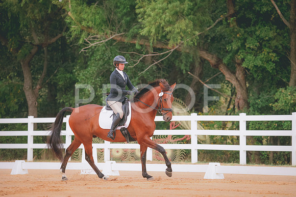 RWP_1832