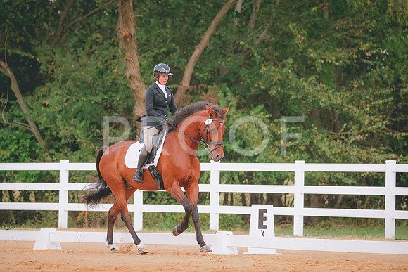 RWP_1834