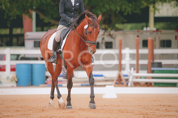 RWP_1837