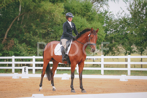 RWP_1844