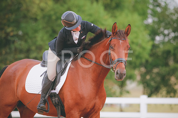 RWP_1846