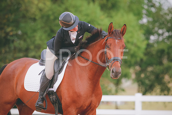 RWP_1847