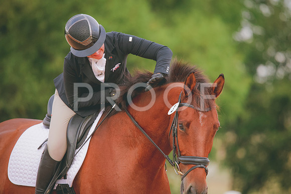 RWP_1852