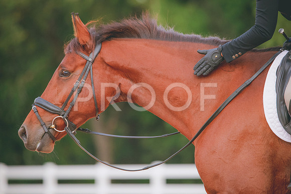 RWP_1853