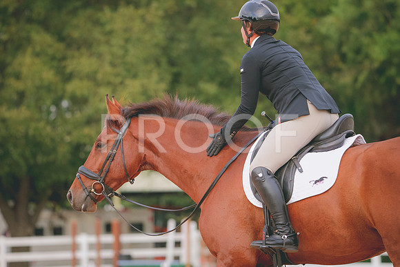 RWP_1855