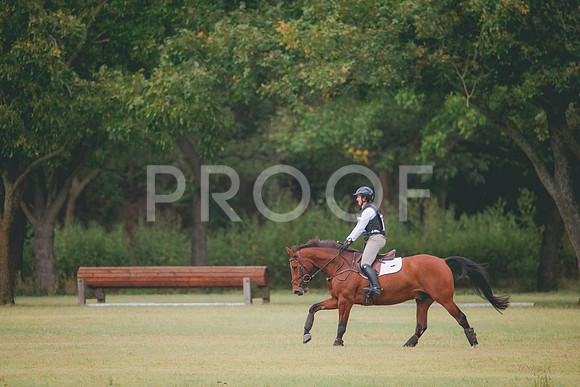 RWP_3727