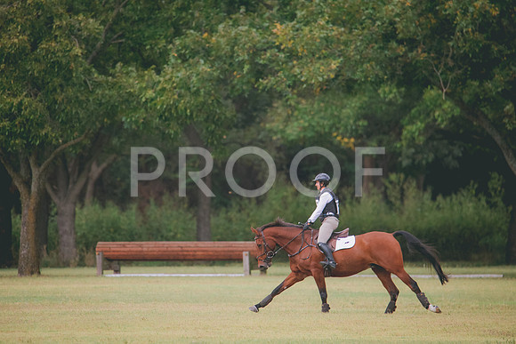 RWP_3728