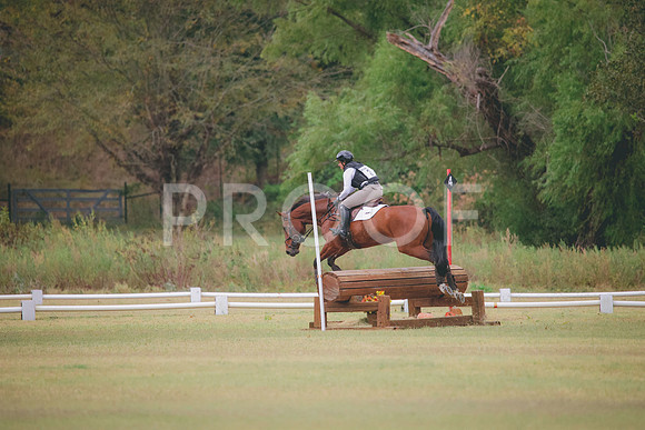 RWP_3733