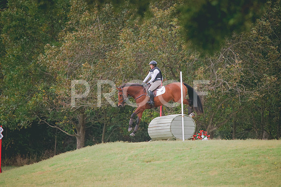 RWP_3741