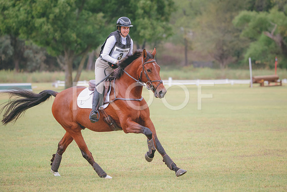 RWP_3753