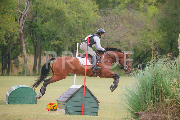 RWP_3772