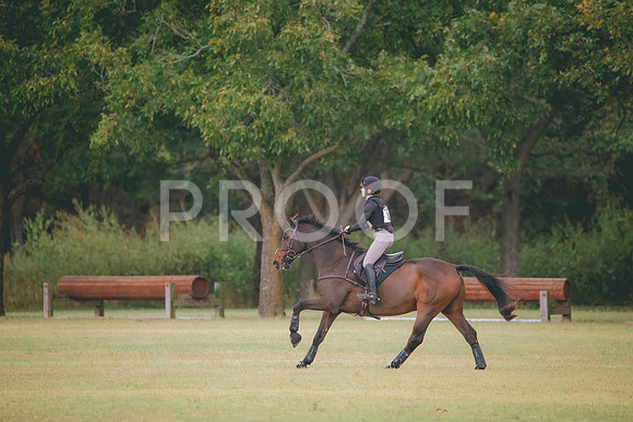 RWP_3790