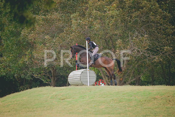 RWP_3799