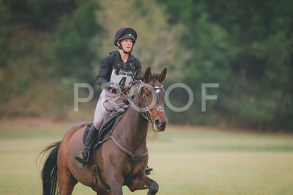RWP_3803