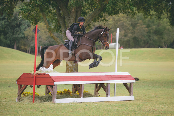 RWP_3809