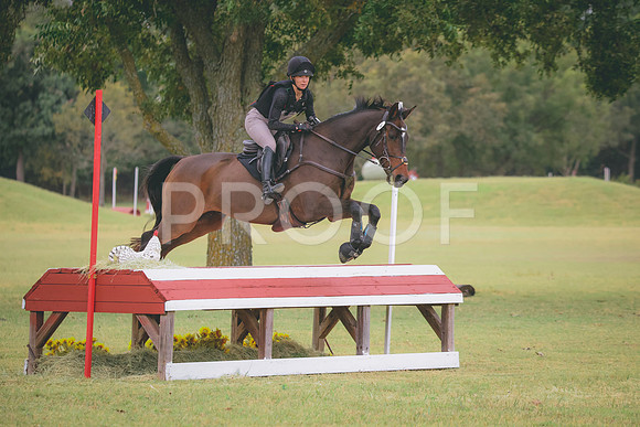 RWP_3810
