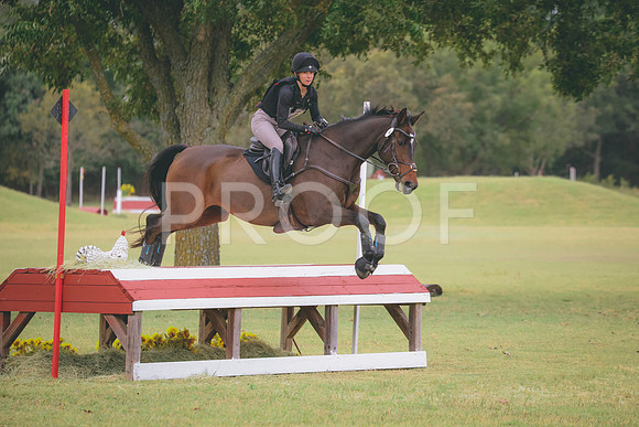 RWP_3811