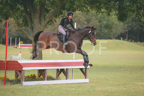 RWP_3812