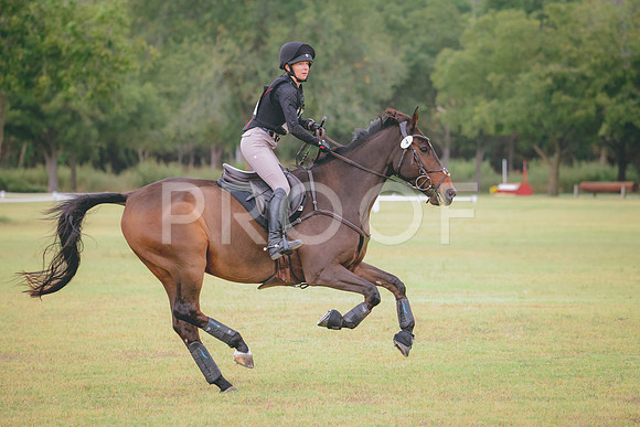 RWP_3813