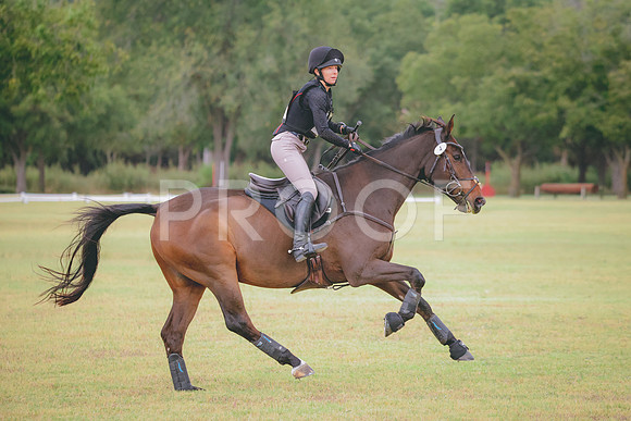 RWP_3814